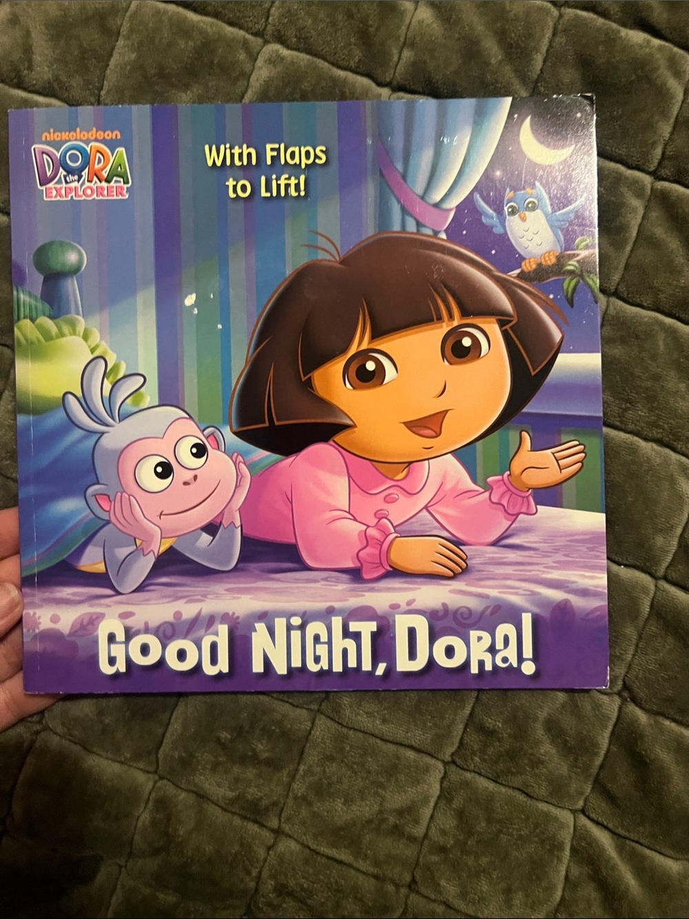 Good Night Dora! Lift and flap book